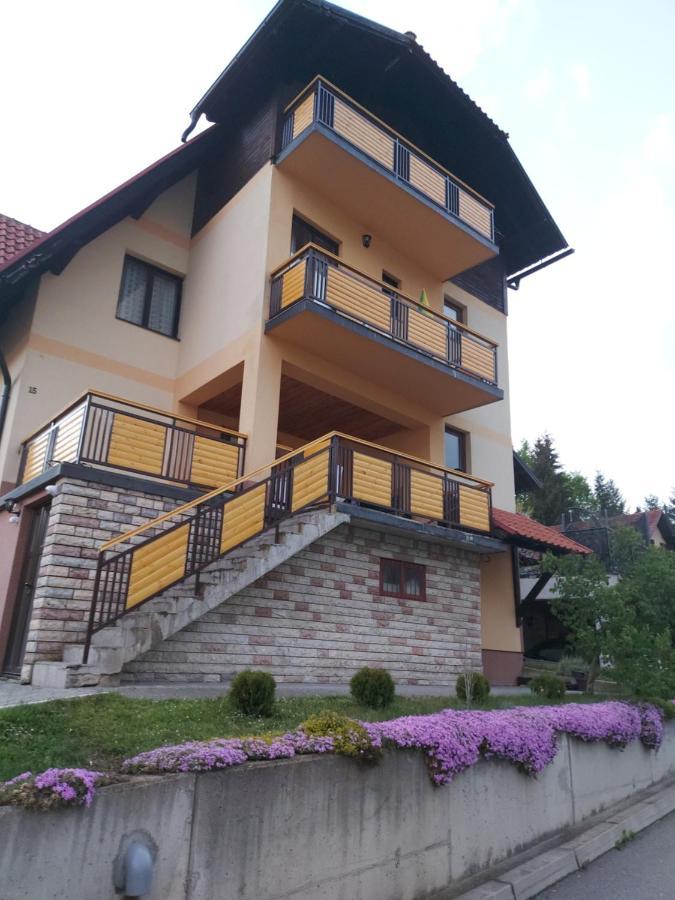 Apartments Monte Vista Zlatibor Ruang foto