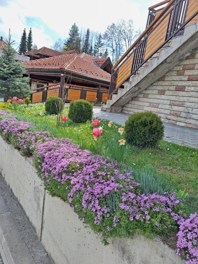Apartments Monte Vista Zlatibor Bagian luar foto